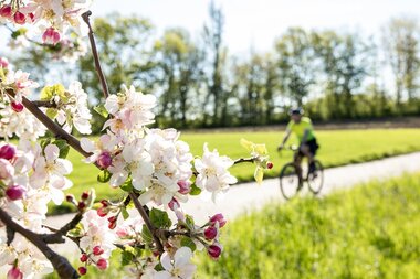 © Land der 1000 Hügel - Kraichgau-Stromberg
