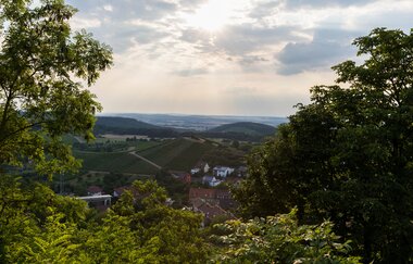 Mandelblüten Gravel-Tour Kraichgau-Stromberg | © Land der 1000 Hügel - Kraichgau-Stromberg