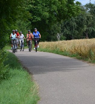 eine Gruppe Radfahrer auf einem betonierten Radweg fahren an einem Weizenfeld entlang