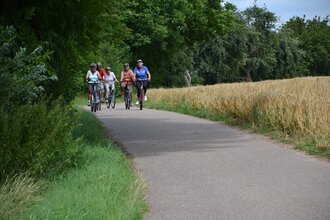 eine Gruppe Radfahrer auf einem betonierten Radweg fahren an einem Weizenfeld entlang