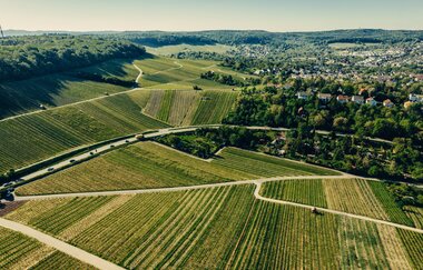 Landschaftsaufnahme vom Wartberg in Heilbronn aus der Vogelperspektive.