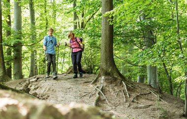 Salzwanderweg Bad Friedrichshall | HeilbronnerLand
