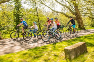 Neckartal-Radweg bei Heilbronn | © Touristikgemeinschaft HeilbronnerLand e.V.