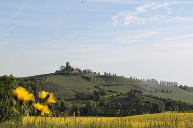 © Naturpark Stromberg-Heuchelberg