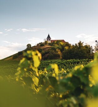 Michaelsberg Cleebronn | Heilbronn | © Touristikgemeinschaft HeilbronnerLand
