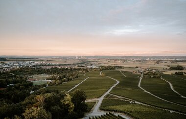Ausblick Heuchelberger Warte | HeilbronnerLand | © Heuchelberger Warte