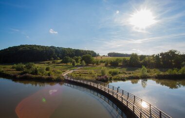 Neckartal-Radweg Etappe 5: Esslingen am Neckar - Besigheim | © Tourismus Events Ludwigsburg Benjamin Stollenberg