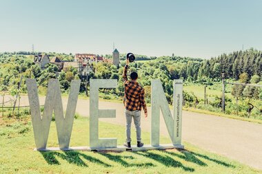 Blick auf die Burg Liebenstein mit Wein-Fotospot | © Touristikgemeinschaft HeilbronnerLand e.V.