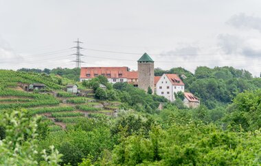 DSGVO NT Neckarwestheim Schloss Liebenstein 2 WEB | © artofpoggel.de Kristof Poggel