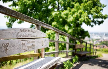 eine Wiese mit einem großen Laubbaum wird durch einen Holzzaun vom asphaltierten Weg abgegrenzt. Entlang des Zauns stehen zwei verwitterte Holzbänke.