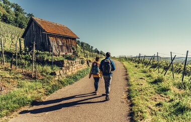 Wanderer am Württemberger Weinwanderweg