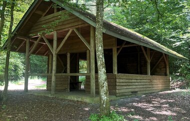 Ö3 - Östringer Wald & Hügel Rundwanderweg