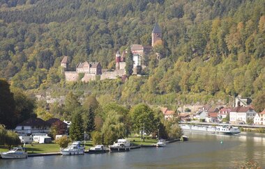 Blick auf Schloss Zwingenberg