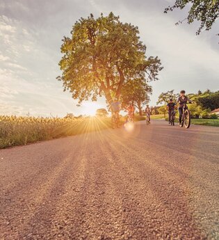 Radfahrer radeln auf einem asphaltierten Radweg bei Sonnenuntergang am Katzenbuckel, der höchsten Erhebung im Odenwald. Im Hintergrund ist ein Gebäude zu sehen. | © Touristikgemeinschaft Odenwald e.V.