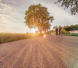 Radfahrer radeln auf einem asphaltierten Radweg bei Sonnenuntergang am Katzenbuckel, der höchsten Erhebung im Odenwald. Im Hintergrund ist ein Gebäude zu sehen.