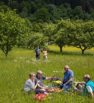 Panorama-Wanderweg – durch Weinberg und hügelige Weiten | © TOURISMUS REGION WERTHEIM GmbH