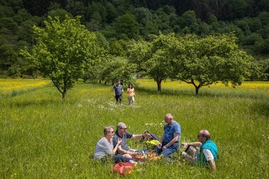© TOURISMUS REGION WERTHEIM GmbH