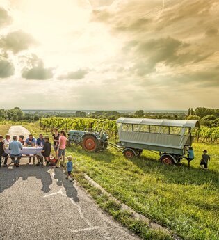 Panoramaweg Langenbrücken