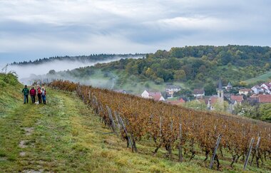 Panoramaweg Taubertal  3. Etappe
