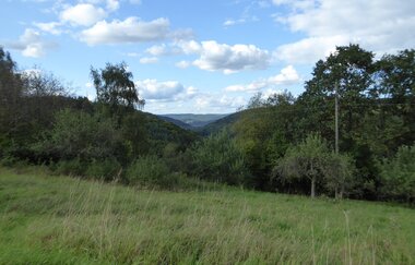 Panoramaweg Taubertal  8. Etappe | © Liebliches Taubertal
