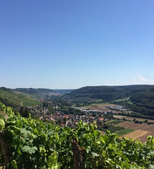 Querverbindung Q4 Ingelfingen-Criesbach - Dörzbach | © Touristikgemeinschaft Hohenlohe e. V. | Marion Schlund
