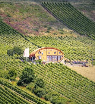 Ingelfinger Fass in den Kochertaler Weinbergen | © Touristikgemeinschaft Hohenlohe e. V. | Andi Schmid