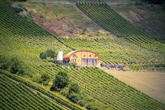 Ingelfinger Fass in den Kochertaler Weinbergen | © Touristikgemeinschaft Hohenlohe e. V. | Andi Schmid
