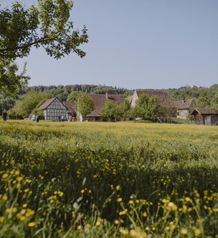 Blick auf die Häusersiedlung im Hohenloher Freilandmuseum | © Foto: Nico Kurth