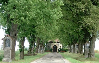Der Weg zur Kapelle ist rechts und links von Bäumen gesäumt | © Touristikgemeinschaft Hohenlohe e. V. | Gemeinde Schöntal
