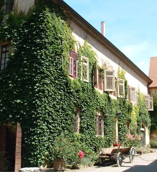 Schloss Eyb ist von wildem Wein umrankt | © Touristikgemeinschaft Hohenlohe e. V. | Marion Schlund