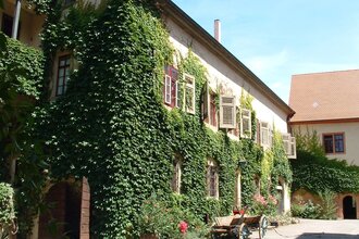 Schloss Eyb ist von wildem Wein umrankt | © Touristikgemeinschaft Hohenlohe e. V. | Marion Schlund