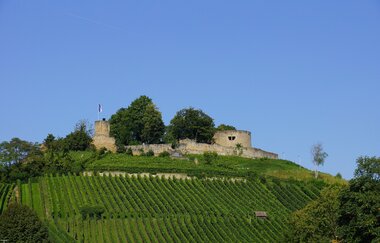 Radweg "Burgenstraße" | © Touristikgemeinschaft HeilbronnerLand e.V.