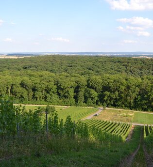 Blick vom Eichelberg | © Stadt Sinsheim