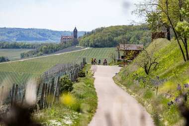 Weg in den Weinbergen | © Land der 1000 Hügel - Kraichgau-Stromberg