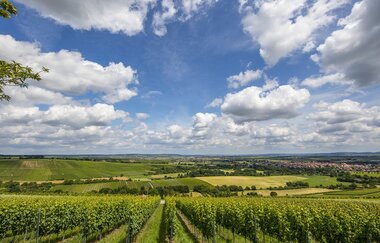 Rennrad-Tour durchs Württembergische Hügelland | © SMG, Achim Mende