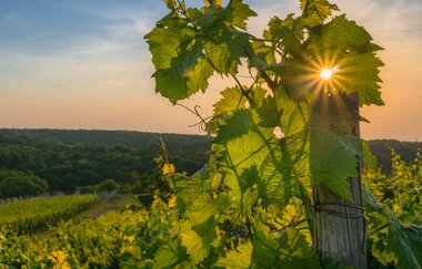 Rennradrunde zwischen Kultur & Enzschleife | © Kraichgau-Stromberg Tourismus e.V.