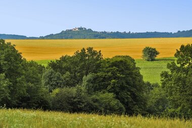 Blick über die beseelende Landschaft der Hohenloher Ebene bei Kupferzell (Im Hintergrund: Stadt und Schloss Waldenburg - dem Balkon Hohenlohes) Foto: Andi Schmid, Fotolevel | © Touristikgemeinschaft Hohenlohe e.V. | Andi Schmid