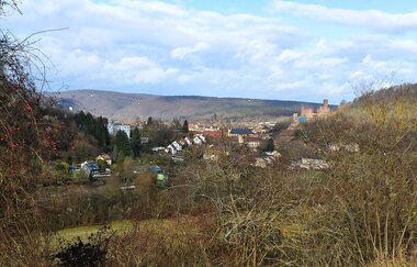 Rund um den Flöhberg | © TOURISMUS REGION WERTHEIM GmbH