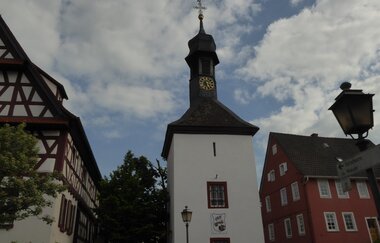 Rundtour Meckesheim | © Landratsamt-Rhein-Neckar-Kreis