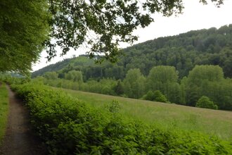 Rundtour Neckargemünd - Kleiner Odenwald | © Landratsamt Rhein-Neckar-Kreis