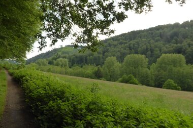 © Landratsamt Rhein-Neckar-Kreis
