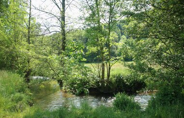 Rundtour Neckargemünd - Odenwald | © Landratsamt Rhein-Neckar-Kreis