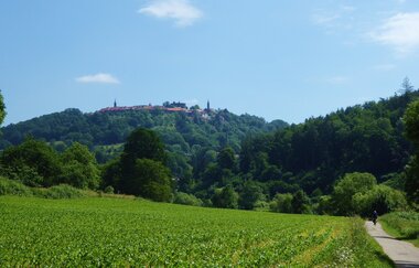 Rundtour Neckargemünd - Odenwald | © Landratsamt Rhein-Neckar-Kreis