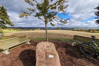 Rundtour Nußloch | © Landratsamt Rhein - Neckar - Kreis