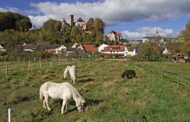 Rundtour Waibstadt | © Landratsamt Rhein-Neckar-Kreis