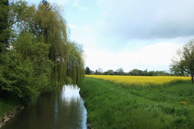 © Landratsamt Rhein-Neckar-Kreis