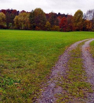 Rundwanderweg in Diefenbach - Kulturlandschaft im Wandel