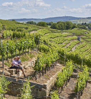 Pausen in den Lauffener Weinbergen | Lauffen a.N. | HeilbronnerLand | © Neckar-Zaber-Tourismus
