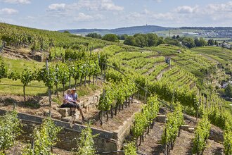 Pausen in den Lauffener Weinbergen | Lauffen a.N. | HeilbronnerLand