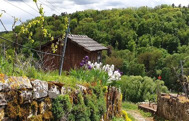 Panoramaweg Hölderlin & Wein | Lauffen am Neckar | HeilbronnerLand | © Stadt Lauffen am Neckar